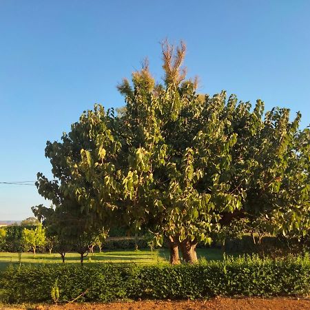 Agriturismo I Doni Del Mandorlo Alghero Exteriér fotografie