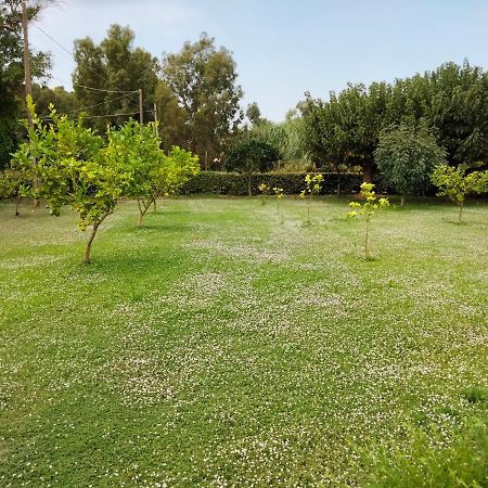 Agriturismo I Doni Del Mandorlo Alghero Exteriér fotografie