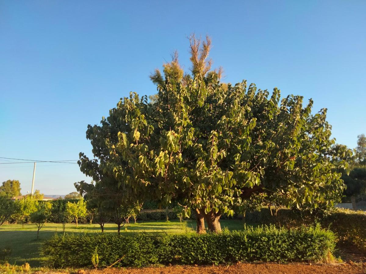 Agriturismo I Doni Del Mandorlo Alghero Exteriér fotografie