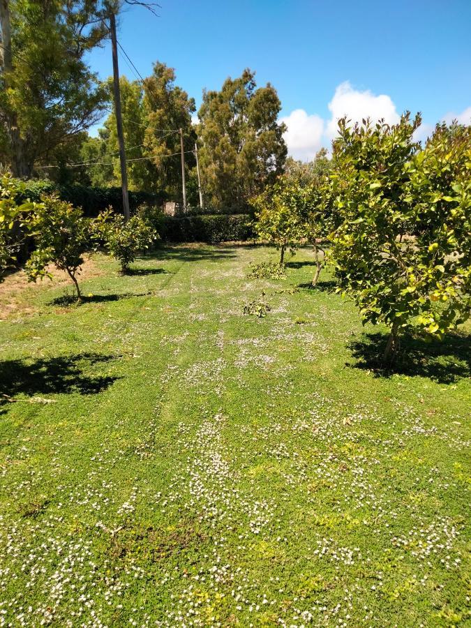 Agriturismo I Doni Del Mandorlo Alghero Exteriér fotografie